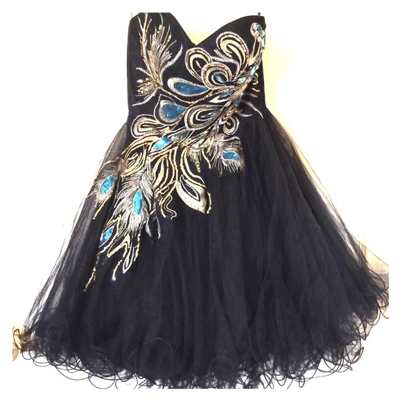 Nina canacia  Dresses & Skirts - Beautiful dress for formal ,party ,prom