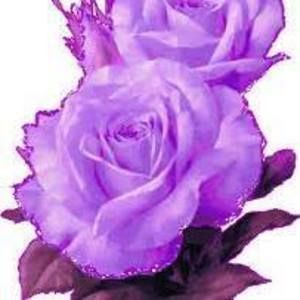 Meet your Posher, Nena