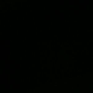 Meet your Posher, Jeri