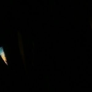 Meet your Posher, Ruth