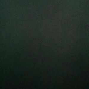 Meet your Posher, Elsa