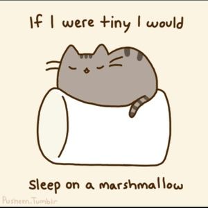 Meet your Posher, Lily