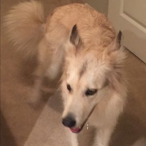 Meet your Posher, Jane