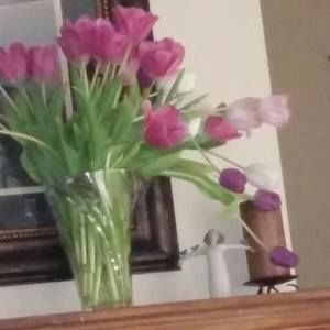 Meet your Posher, Kari