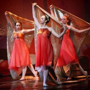 Meet your Posher, Brynn