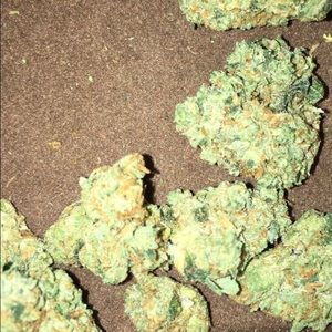 Meet your Posher, Oscar