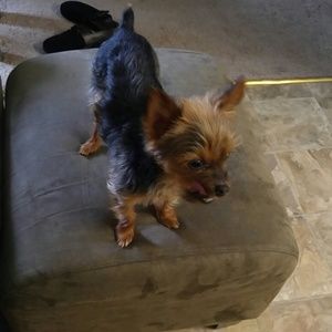 Meet your Posher, Carol