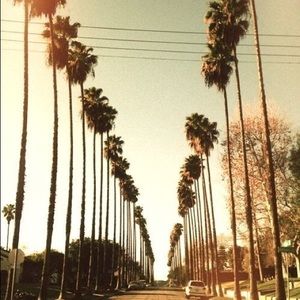 Meet your Posher, Ellen