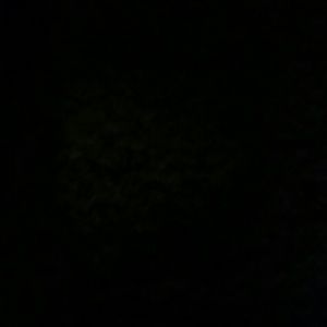 Meet your Posher, Lea