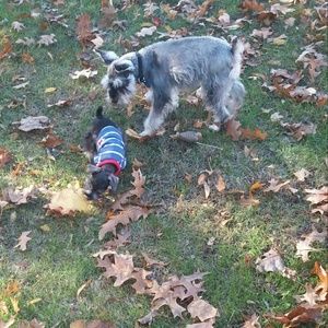 Meet your Posher, Jasmine