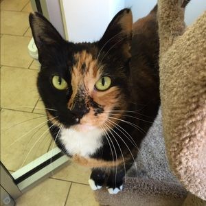 Meet your Posher, Maddie