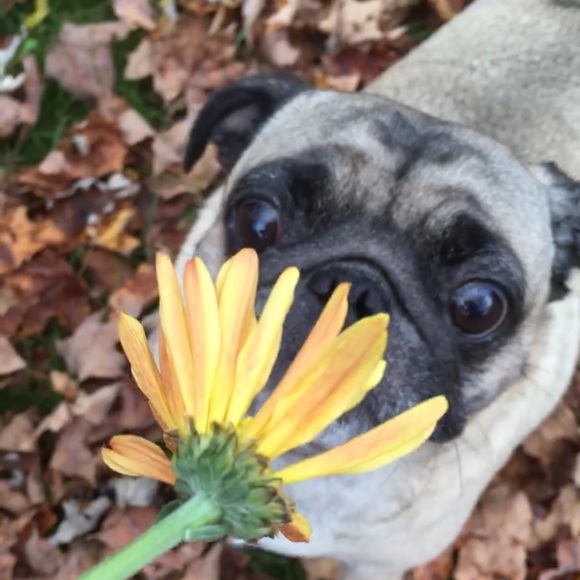 Meet your Posher, Kara - Picture 1 of 1