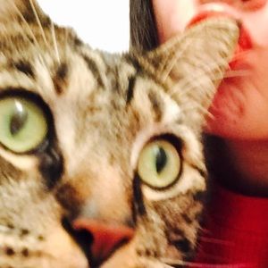 Meet your Posher, Iris