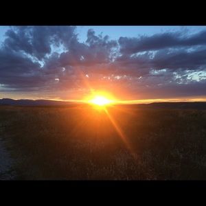 Meet your Posher, Katy