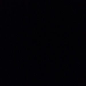 Meet your Posher, Tamara