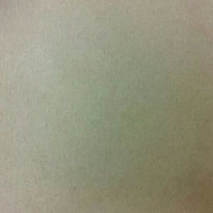 Meet your Posher, Shawna