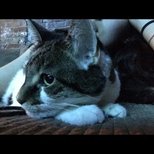 Meet your Posher, Ziara