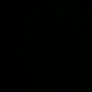 Meet your Posher, George