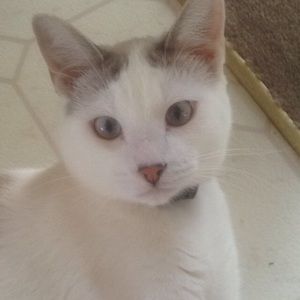 Meet your Posher, Kyra