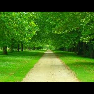 Meet your Posher, Cassandra