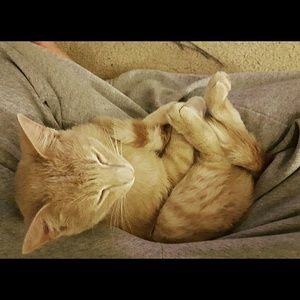 Meet your Posher, Leslie