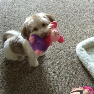 Meet your Posher, Ellen