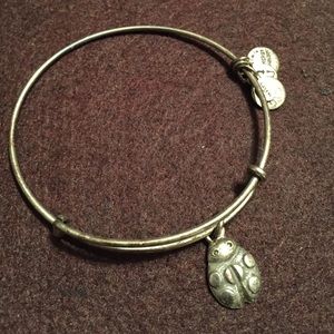 Alex & Ani ladybug charm