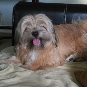 Meet your Posher, Marose