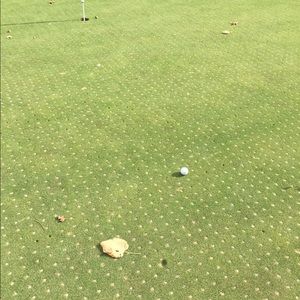 Meet your Posher, Steven