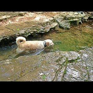 Meet your Posher, Crystal