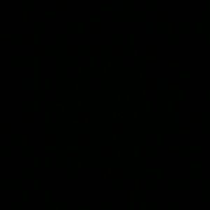 Meet your Posher, Lizeth