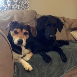 Meet your Posher, Brittany