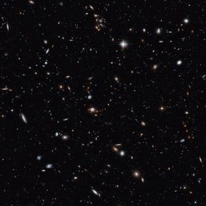 Meet your Posher, Scott