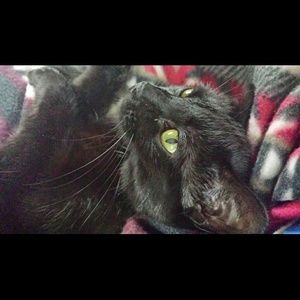 Meet your Posher, Megan