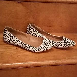 Steve Madden animal print flats