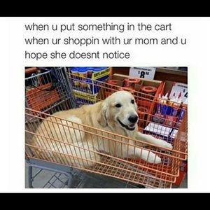 Meet your Posher, Oliver