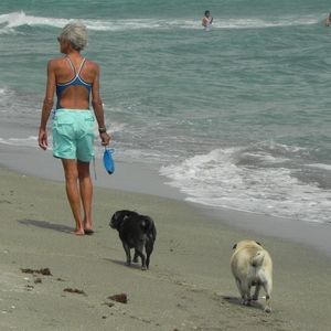 Meet your Posher, Janis