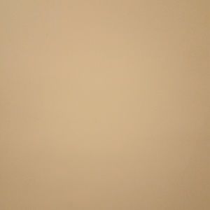 Meet your Posher, Ashlyn