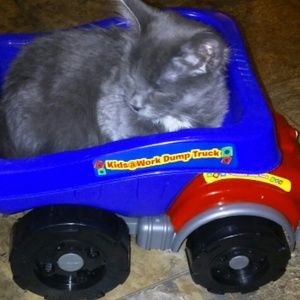 Meet your Posher, Anne