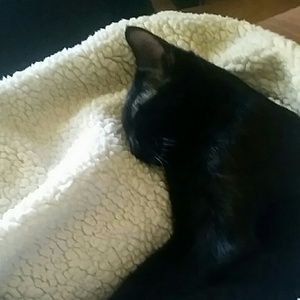 Meet your Posher, Averey