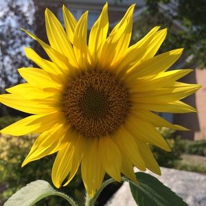 Meet your Posher, Kristy