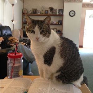 Meet your Posher, Emma