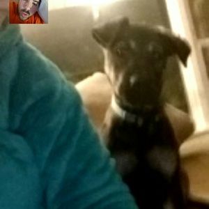 Meet your Posher, Derek