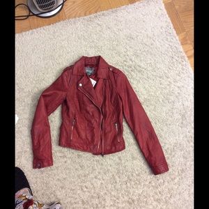 Bundle for annettegibson