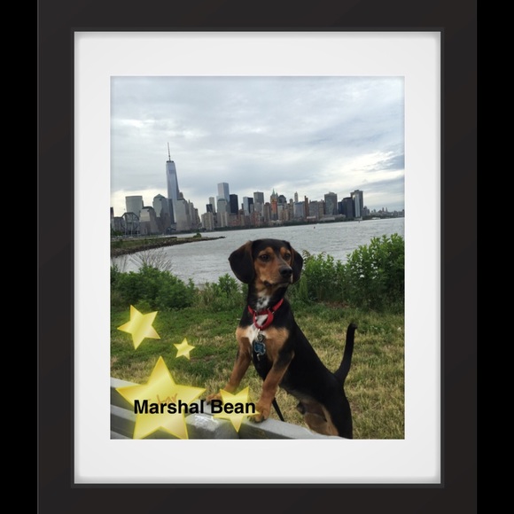 Meet your Posher, Shannon - Picture 3 of 4