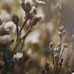 Meet your Posher, Cori