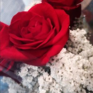 Meet your Posher, Estrella