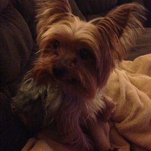 Meet your Posher, Kayla