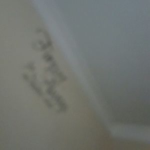 Meet your Posher, Sharee