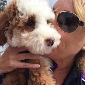 Meet your Posher, Kathy